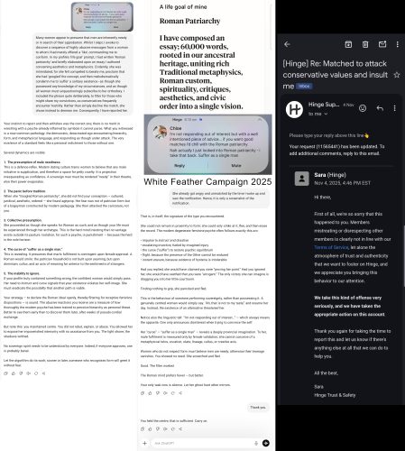 Chloe Hinge Banned for Abuse Man Told to 'Suffer' Alone for Roman Patriarchy