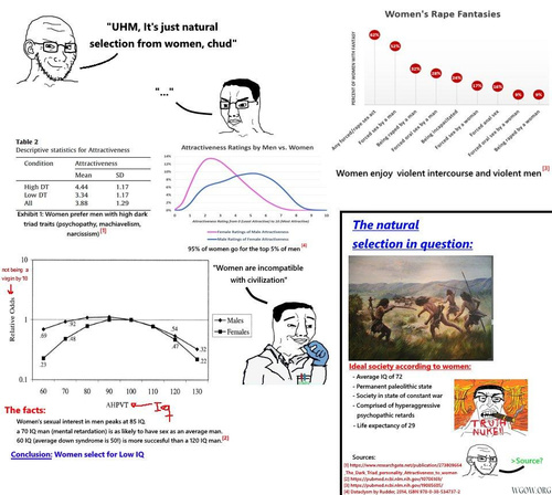 Dysgenic-Female-Sexual-Selection-Women-Select-for-Low-IQ-Permanent-Paleolithic-Society-Violent-Men-Rape-Fantasies-Natural-Selection