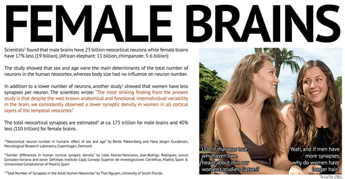 FEMALE-BRAINS