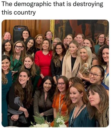 HR-Roasties-is-the-Demographic-Destroying-Nations-White-Childless-Working-Women-Corporate-Harems