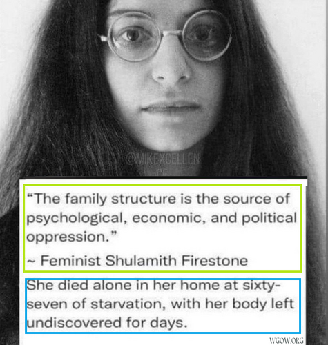Shulamith-Firestone-End-of-Life-Section