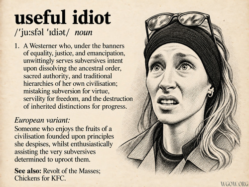 Useful-Idiot-French-Riotgirl-Consequences