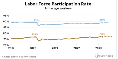labour-force-participation